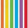 Rainbow Cello Bags